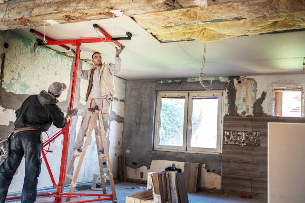 Best Residential Insulation in Hollymead, VA